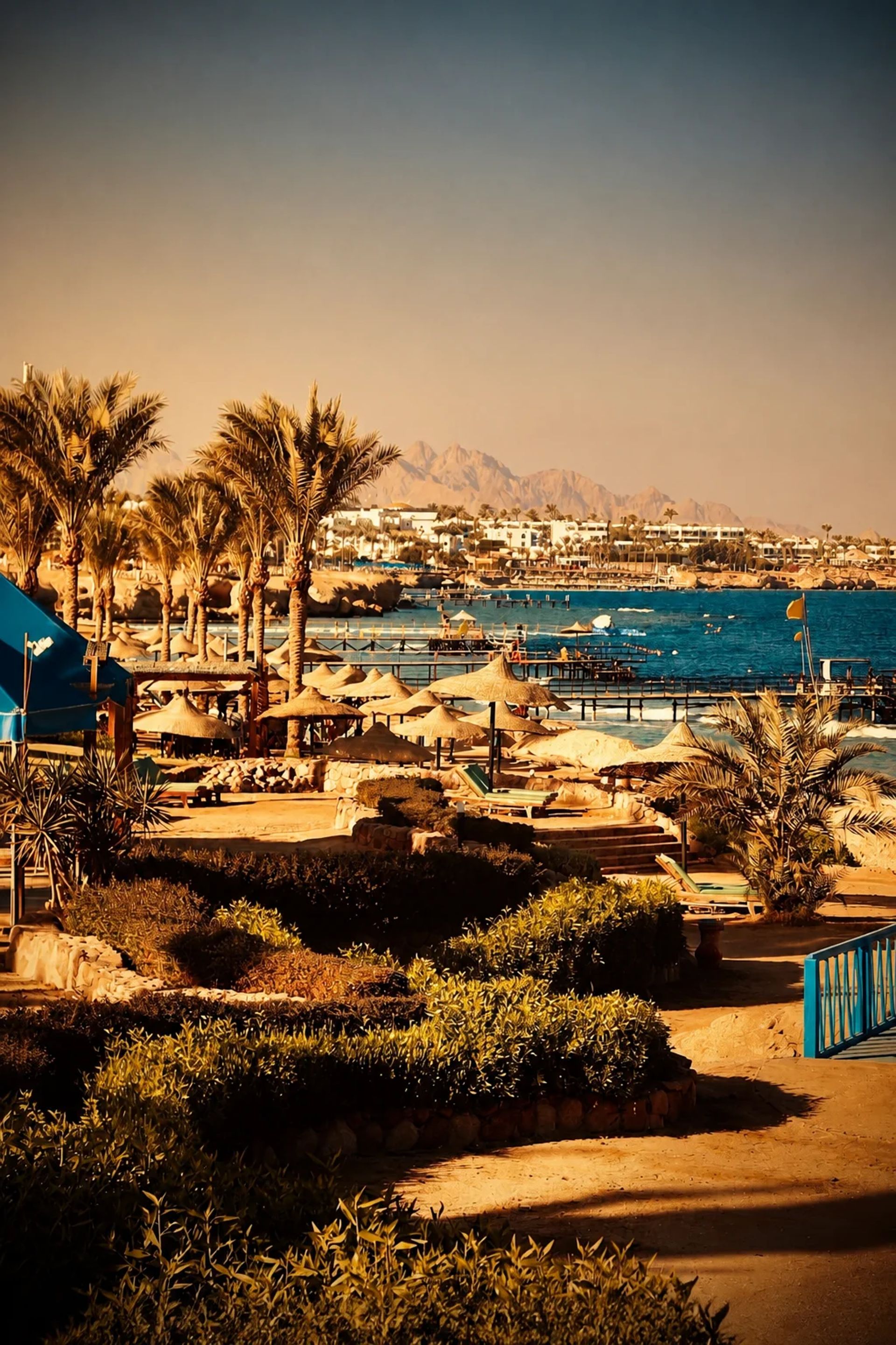 Sharm El Sheikh excursion – Excursions departing from Sharm El Sheikh